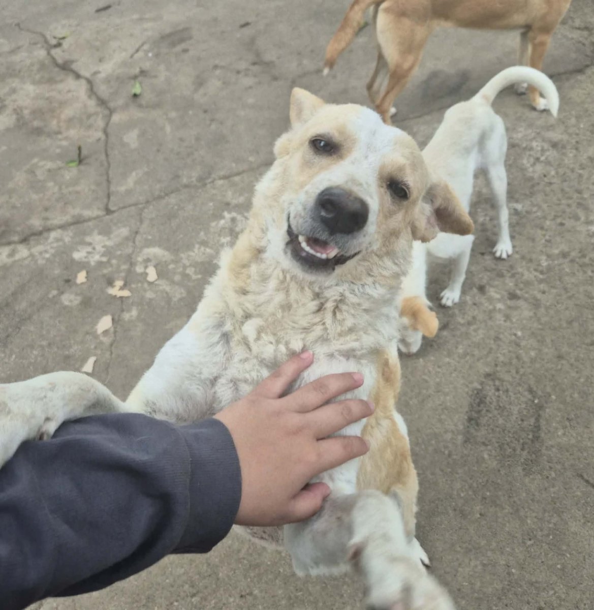 𝗛𝗲𝗹𝗹𝗼 𝗧𝘄𝗲𝗻𝘁𝘆, 𝗝𝗮𝘆𝗻𝗮! 💛

Part 1: Charity Project

Finally met the dogs, and they were the absolute cutest. They were so excited to see visitors 🐾 This project is our way of celebrating Jayna’s birthday  💛

More photos 👇📷
#เจน่าแองเจลิน่า #aangelinaass