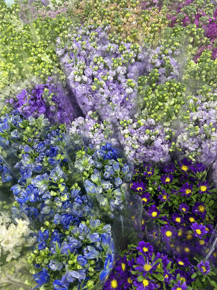 random_petite's tweet photo. อัพเดทดอกไม้ที่ปากคลองเมื่อคืนนี้ 
🌺💐🌼🌷🌸🌻 https://t.co/zVrv7yn5vQ