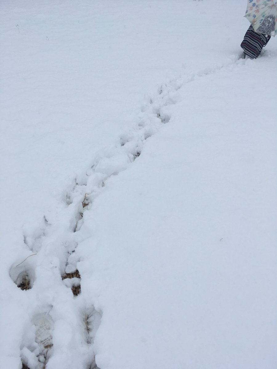 朱戸アオ(連載準備中) (@acatoao) / Posts / X