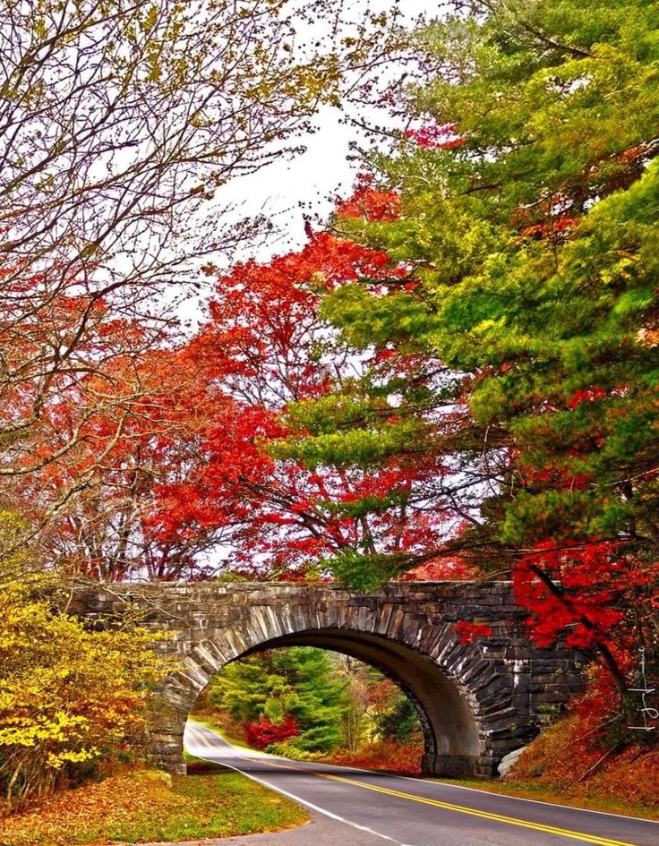 Photos Nathalie tweet media