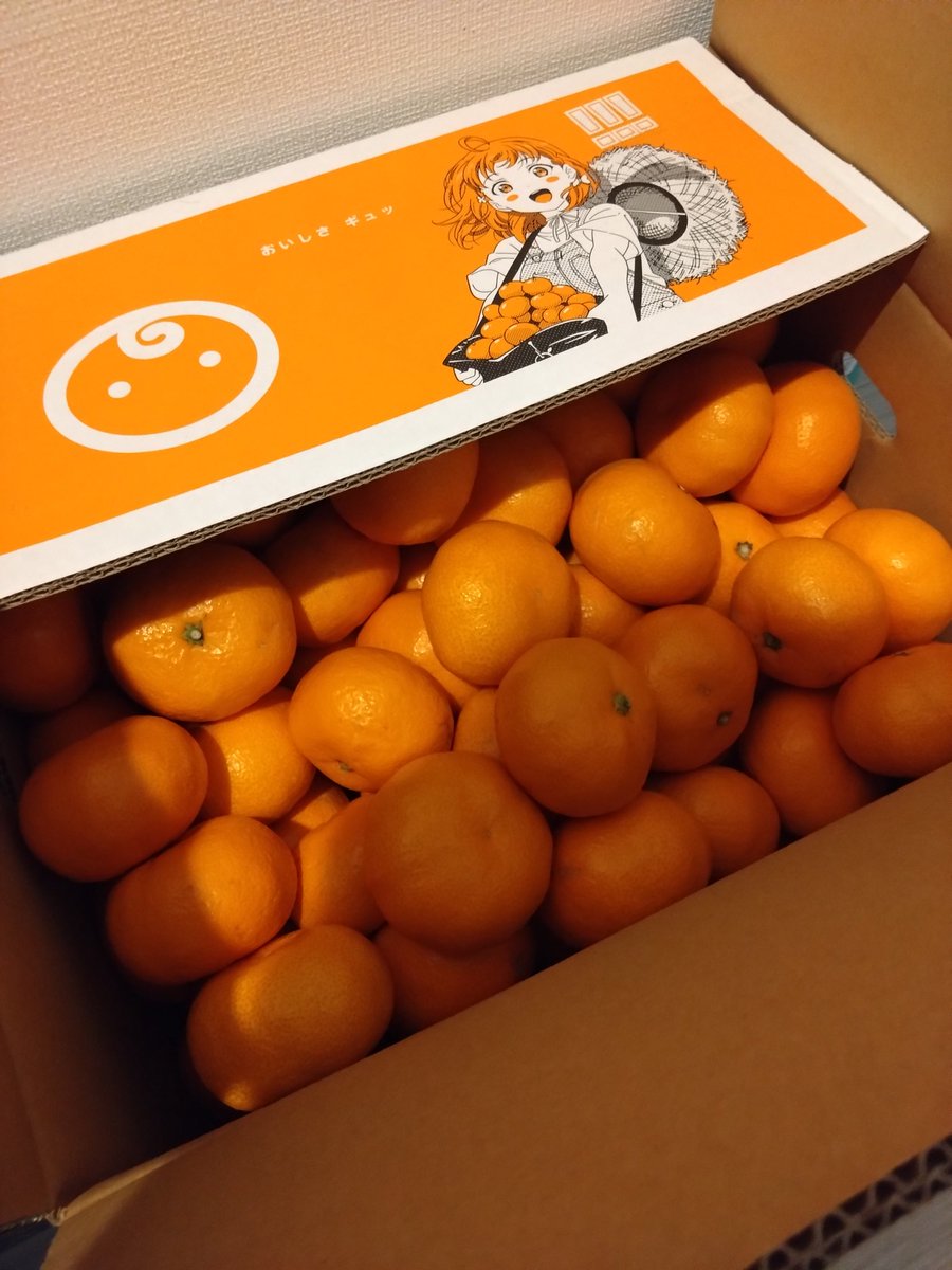 宝石のようなみかん🍊