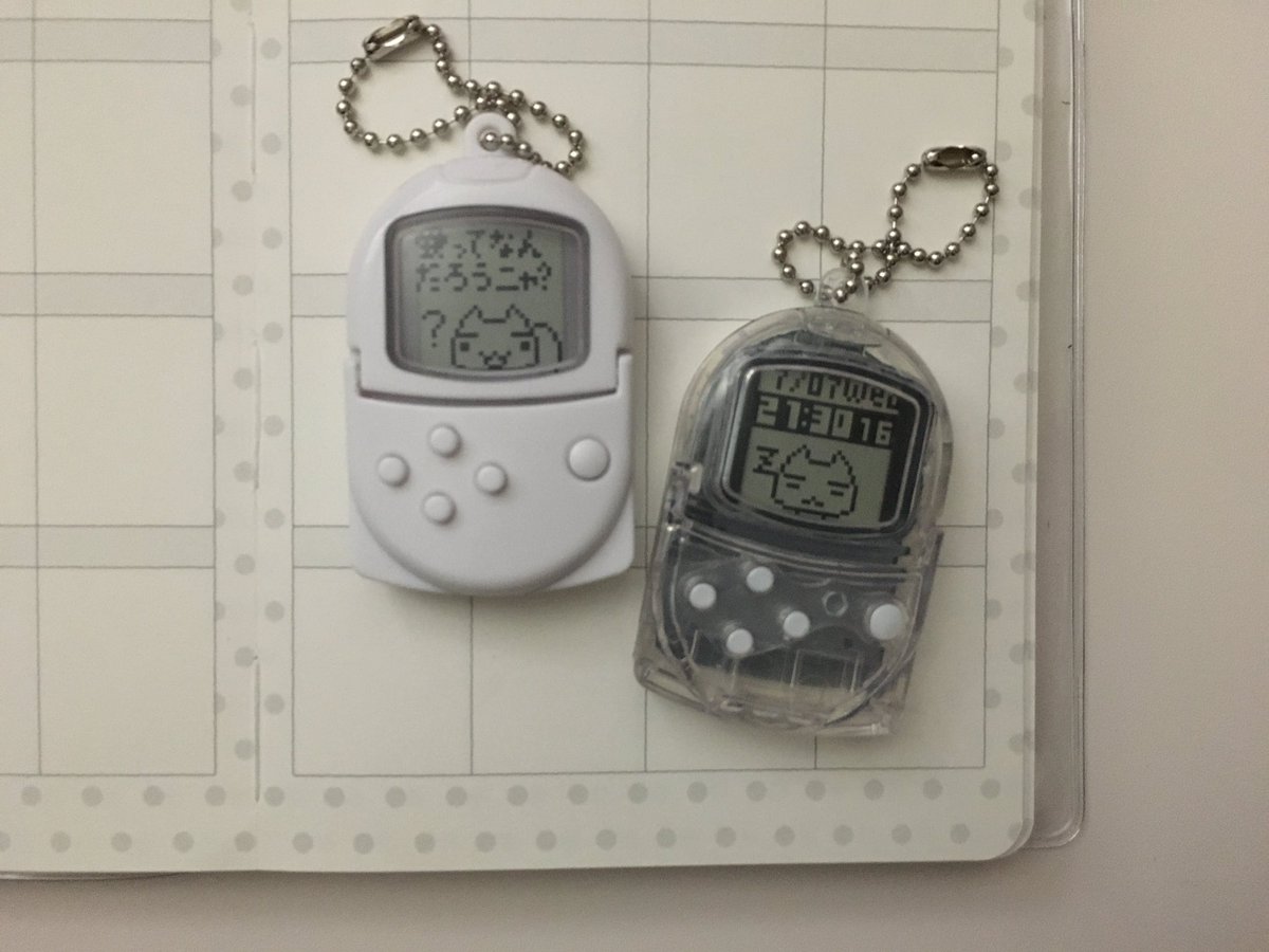 짜구리 tweet media