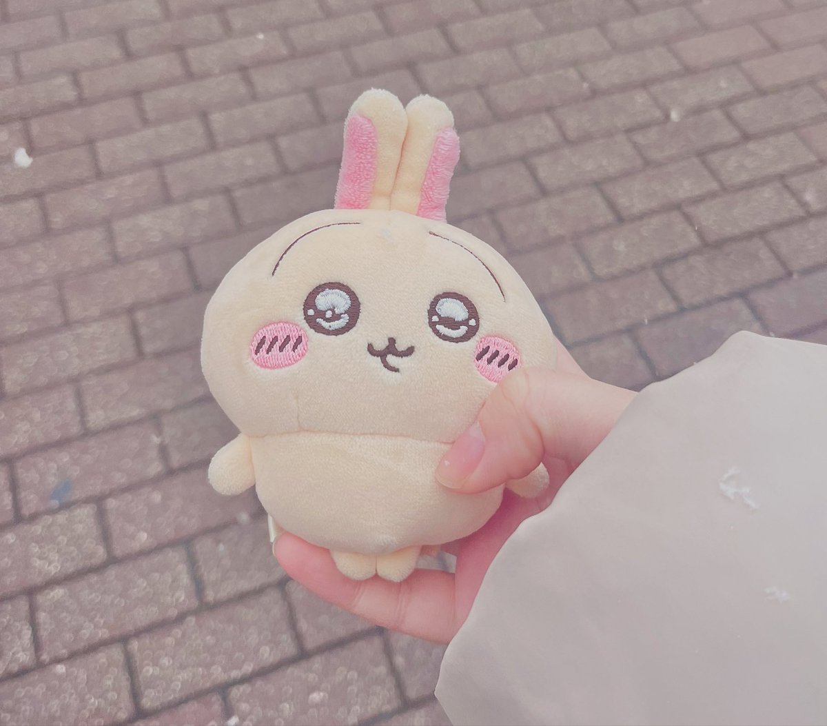 雪だね〜☃️ うさぎにマフラーつけるの忘れた💦🐇ｳﾗﾗﾗﾗﾗ