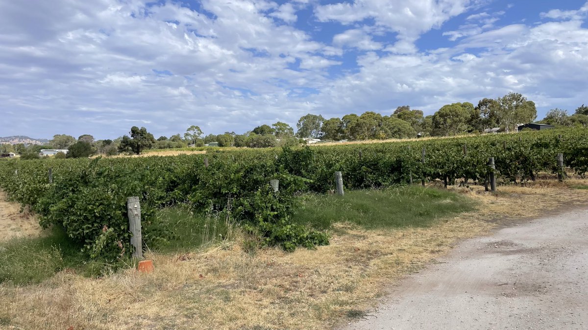 Martin Prudames tweet media