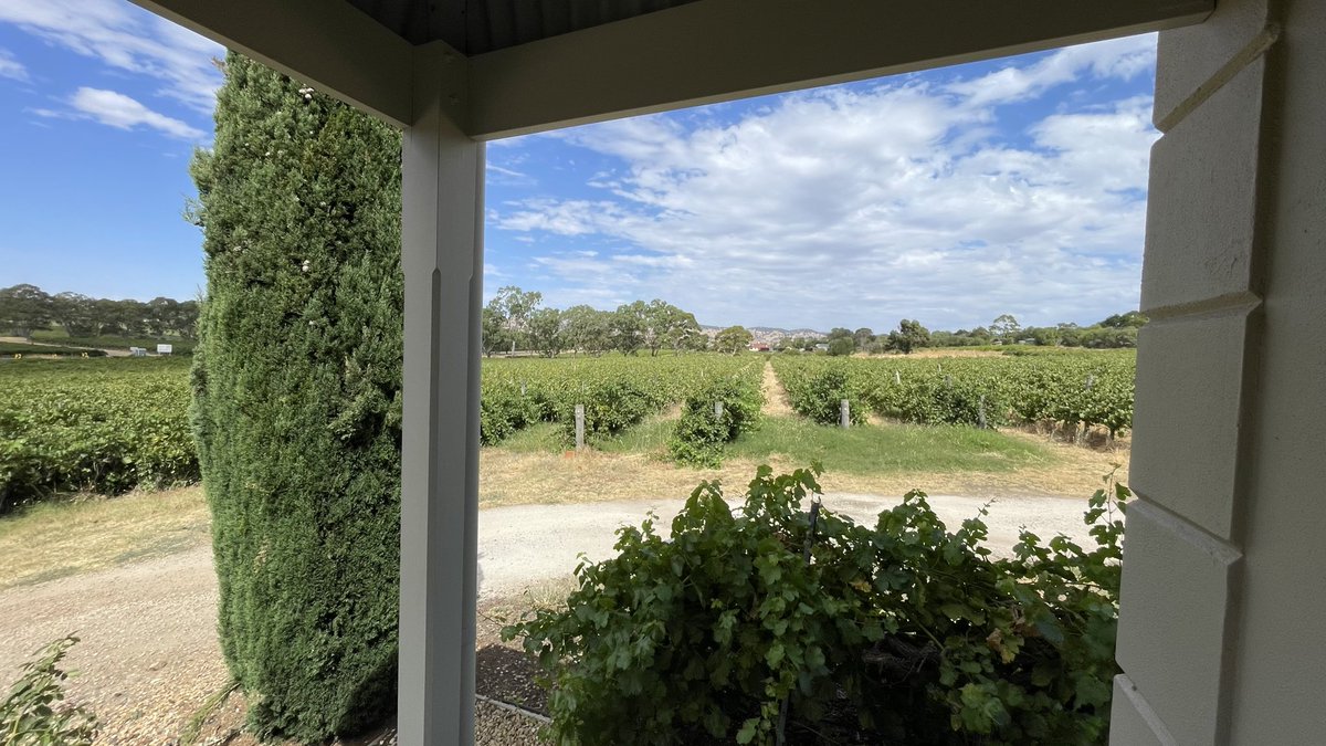 Martin Prudames tweet media