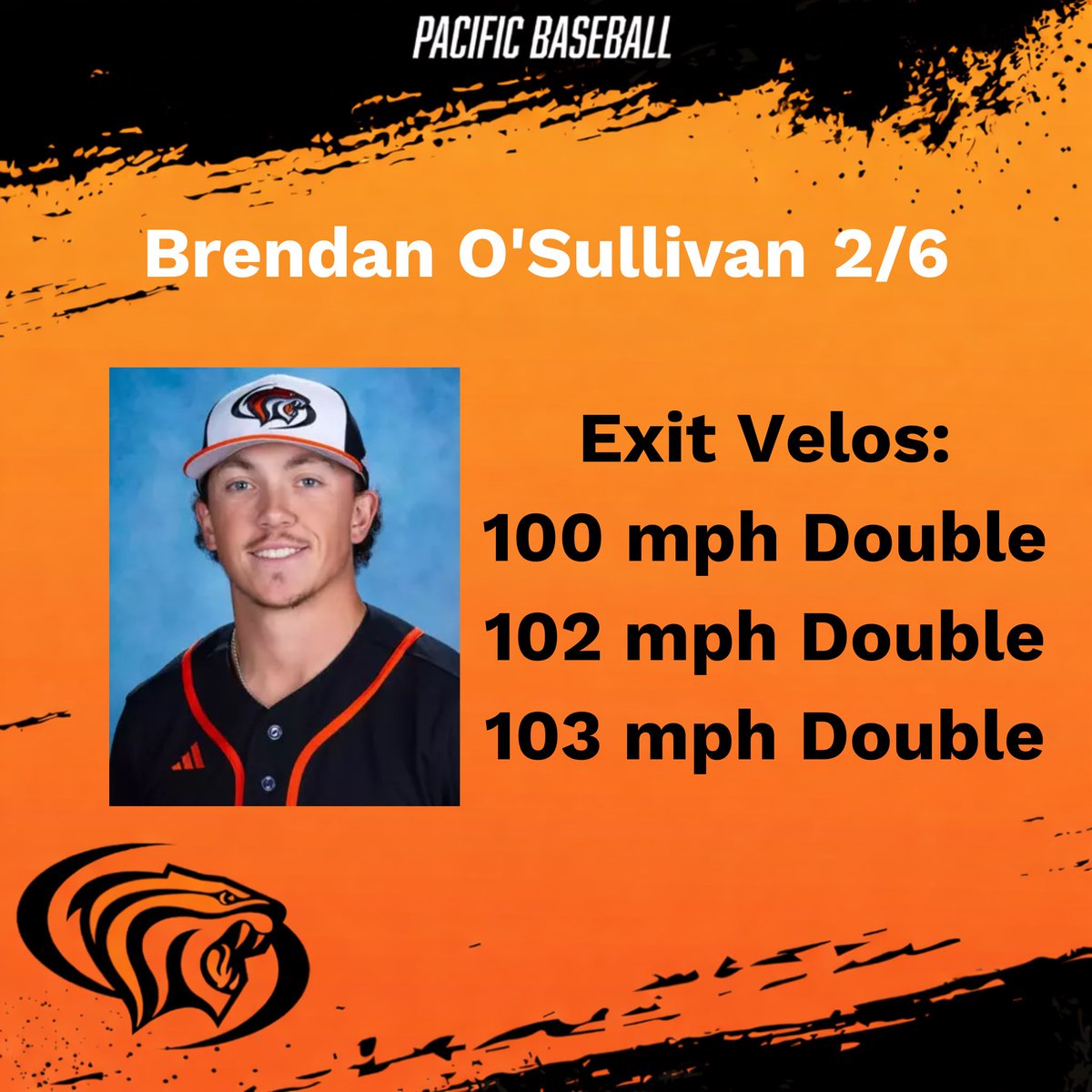 Pacific Baseball Analytics tweet media