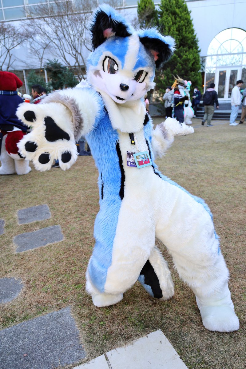 soni_ribbonce's tweet photo. 遅くなりましたが私が撮影した写真を共有フォルダへアップロードしました📷
#JMoF2026 https://t.co/YPedB0fVua