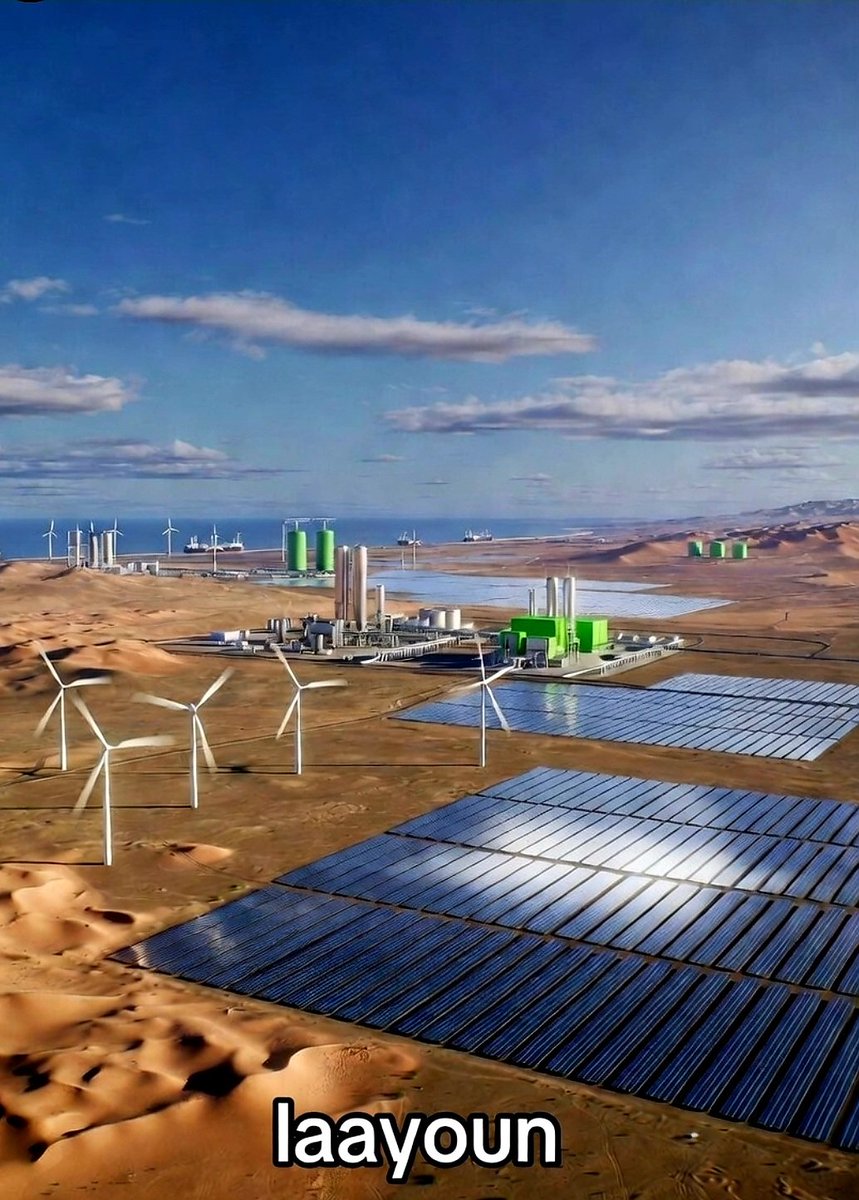 DBS Morocco tweet media