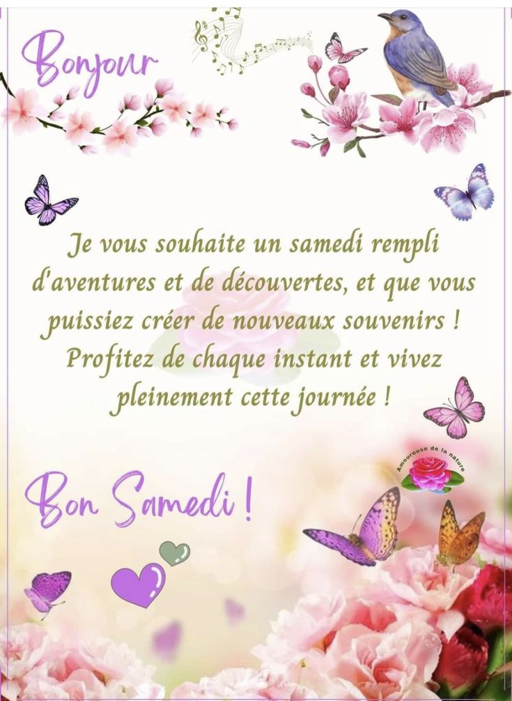 Josette.J ღ tweet media