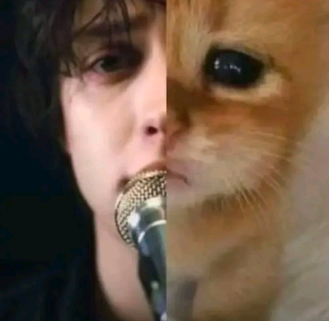 The Strokes han cambiado últimamente mi forma de ver la vida