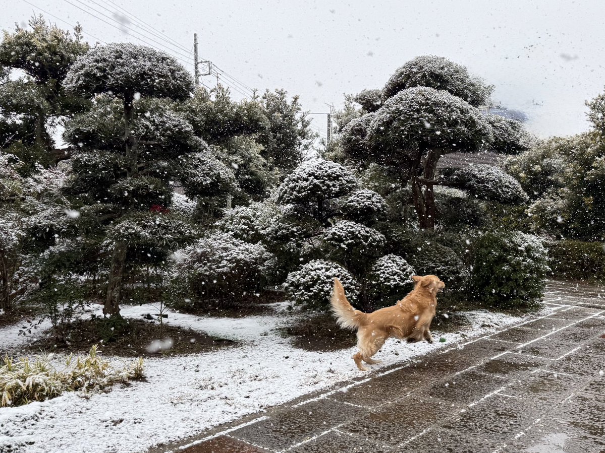 いーぬはよろこび♪
