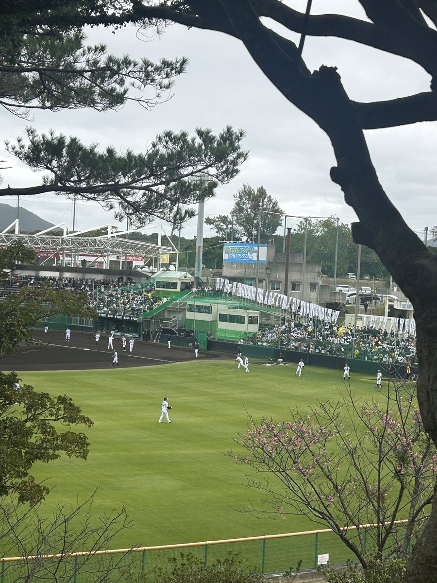 ユウコグミ tweet media