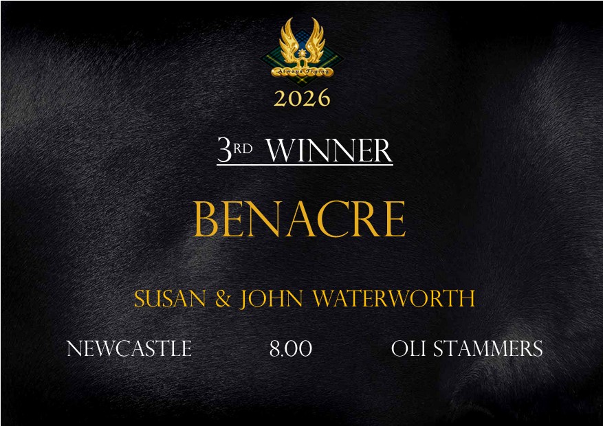 Johnston Racing (@johnston_racing) on Twitter photo 