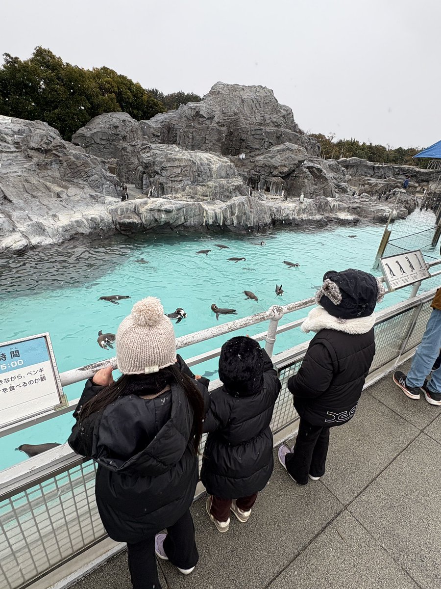 タキ (@taki49939216) / Posts / X