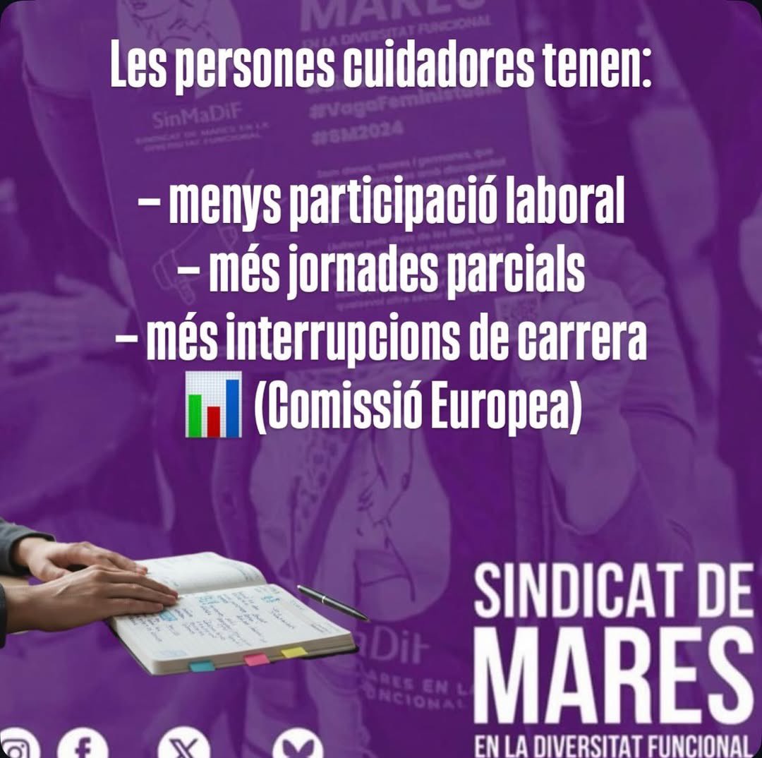 Sindicat de Mares en la Diversitat Funcional tweet media