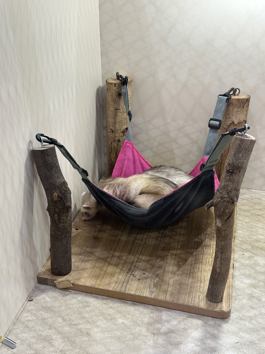 Lein˙꒳​˙)🍆琥珀糖 tweet media