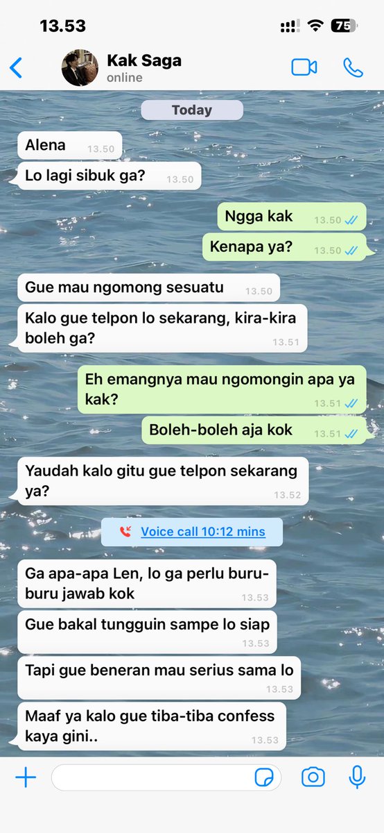 pika ⭑ tweet media