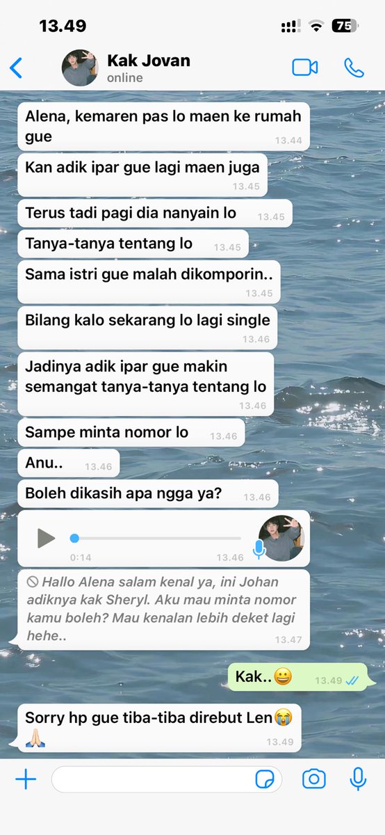 pika ⭑ tweet media