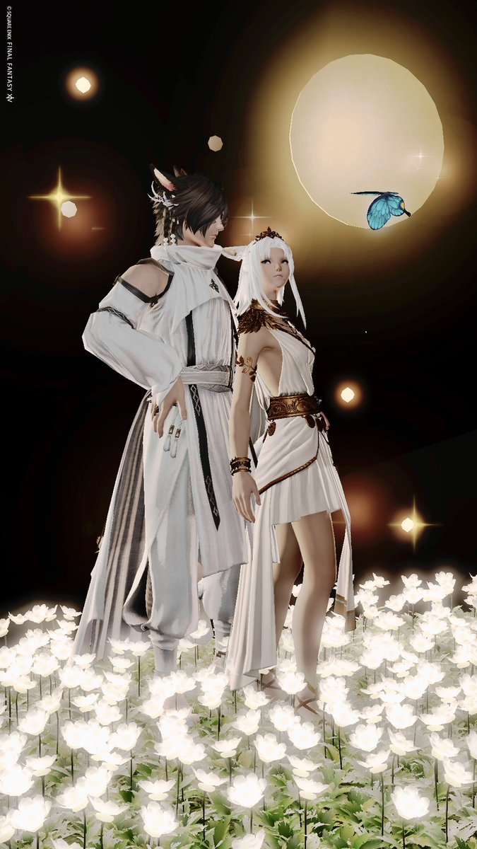 🐈‍⬛🐈 #IMG_std #FF14