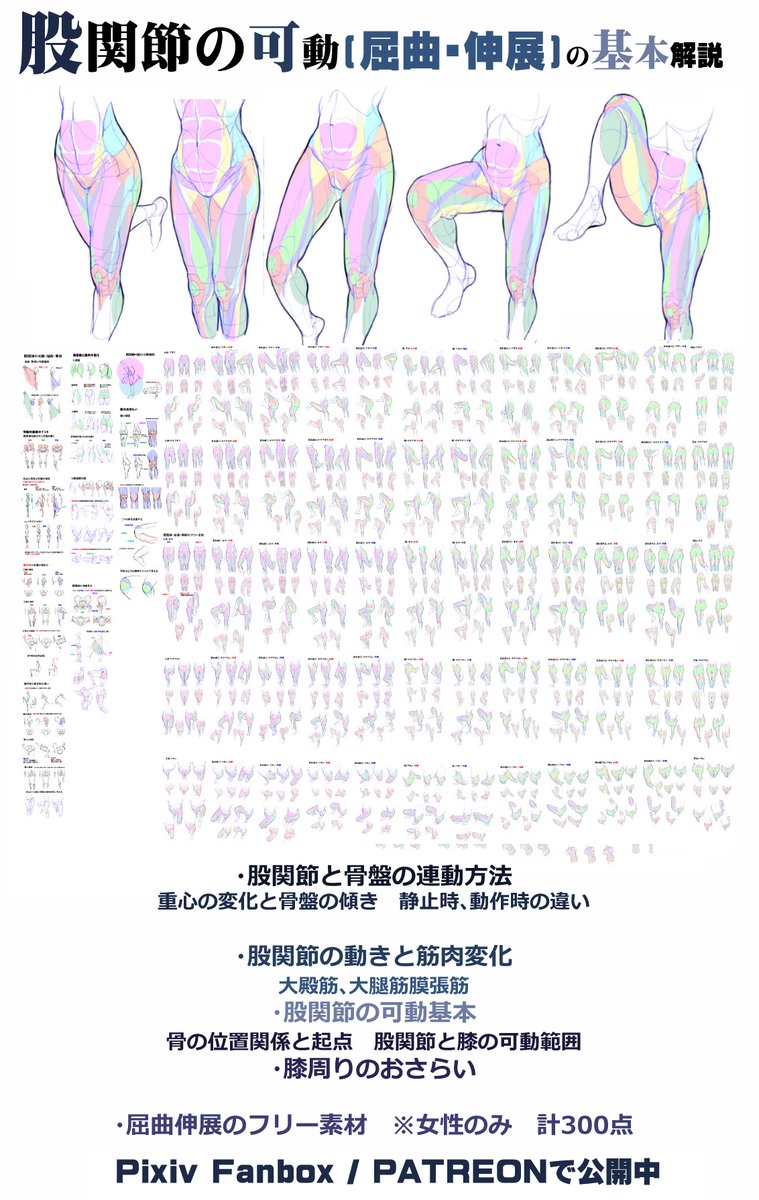 Manga_Materials's tweet photo. 個人メモ：座り姿勢/骨盤

股関節の屈曲伸展
FANBOX
https://t.co/ne1zP7Nc3m
Patreon
https://t.co/o2PDw4t9Oq

■EN
Movement of the Hip joint ：Flexion/Extension
FANBOX
https://t.co/kUFhKfRZby
Patreon
https://t.co/1Slu9xuLkI

■中文
髋关节的屈曲伸展
Patreon
https://t.co/oZt2QMH7wG https://t.co/jgn4sWGC0Z