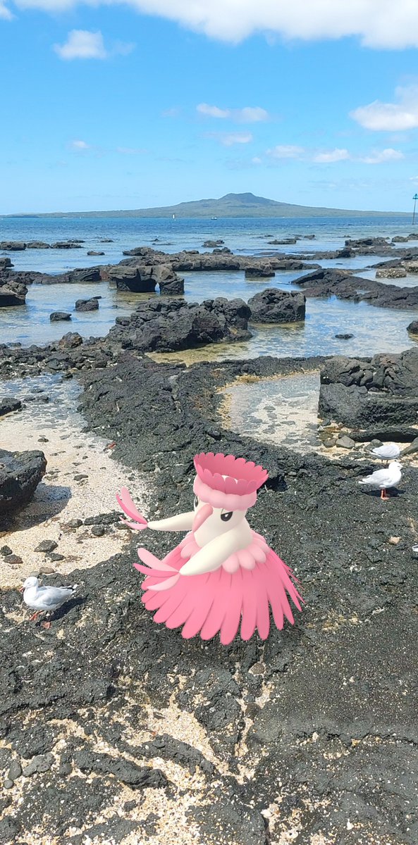 Catch Mastery Day: Oricorio notes

Nice chance for good IVs but pls adjust your shiny expectations

✨️3/80 (free &amp; paid research combined) but 2 friends combined tally was ✨️1/160. RNG

Flamigo Field Res competes with
Oricorio Field Res. Oricorio pooled w/Starly &amp; Hoothoot