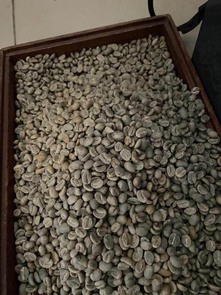 Beyond Raw Beans: Why Value Addition Is Uganda’s Next Big Opportunity in Coffee and Cocoa

For decades, Uganda has proudly exported coffee and cocoa as raw beans. We celebrate volumes, export earnings and global rankings. But when you look deeper into the global value chain a