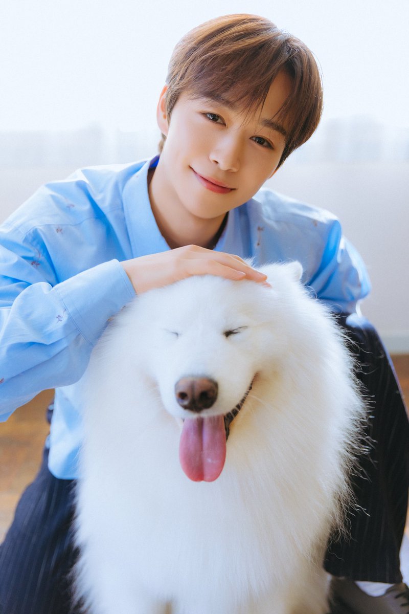 月刊わんこ編集部 (@gekkan_wanko) / Posts / X