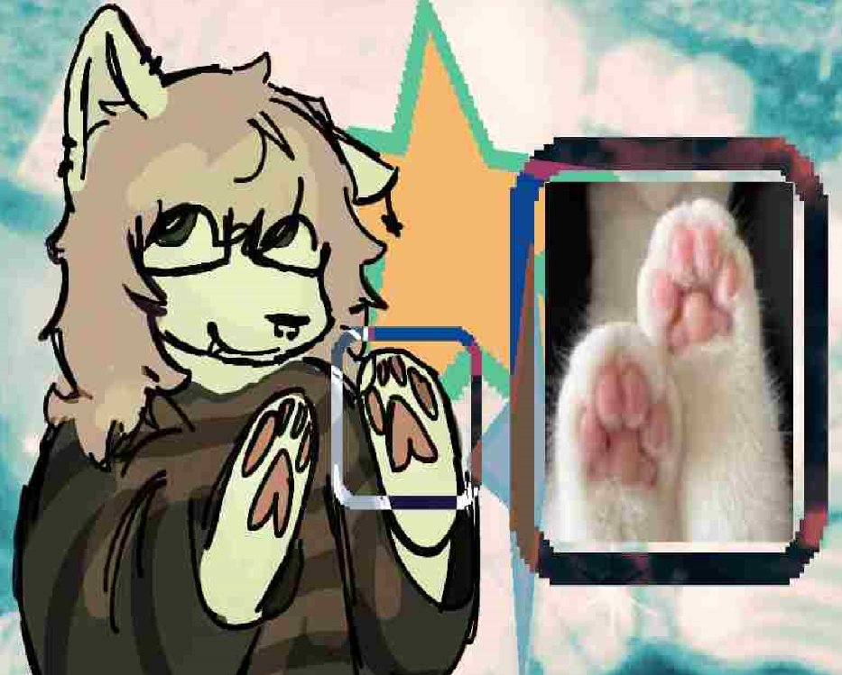Blake ★ tweet media
