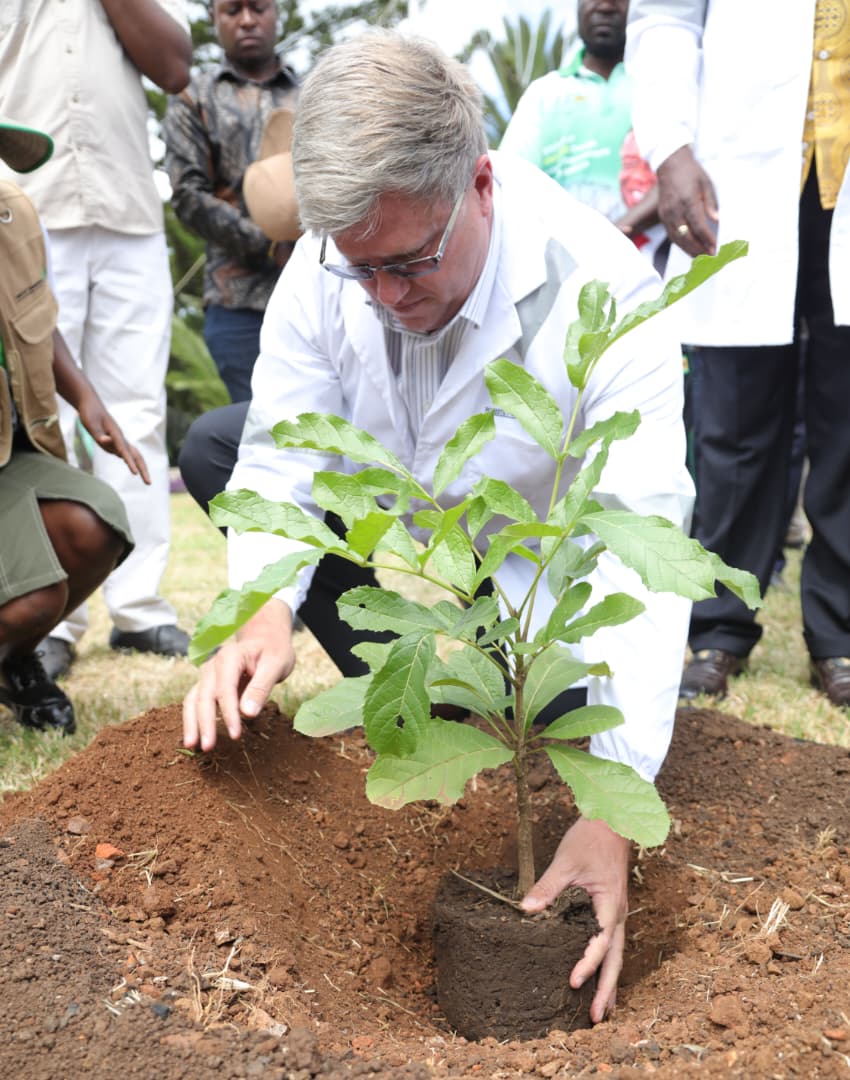 First Lady of Zimbabwe 🇿🇼 tweet media