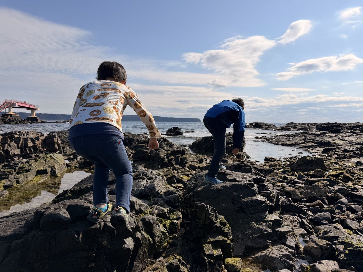 【君の旅キャンプ】
〜本州最南端〜

亀にえさやりして
浜を冒険して
今日も最高の旅！

#こども
#アウトドア
#キャンプ
#ジャパンアウトドアファクトリー
#子どもキャンプ
#JOFあわくらキャンプ