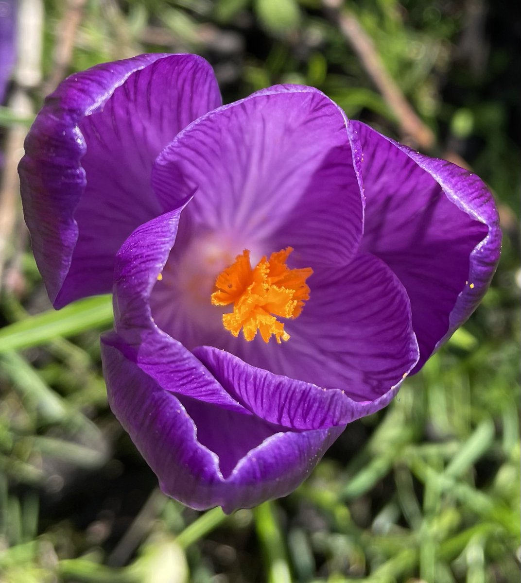 Helen O'Hara tweet media