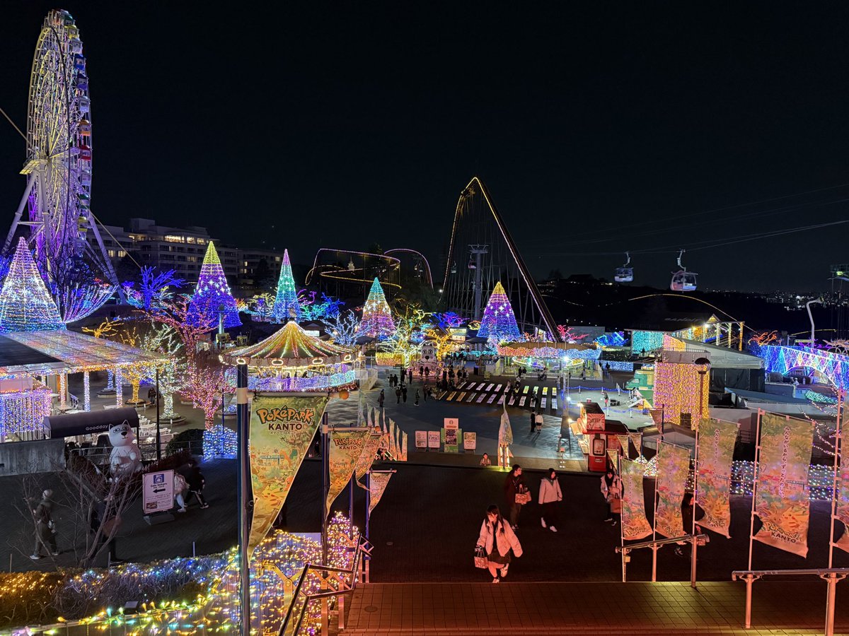 れたまる🐈‍⬛ tweet media