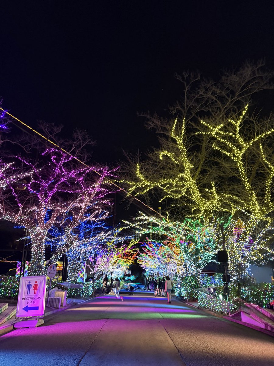 れたまる🐈‍⬛ tweet media