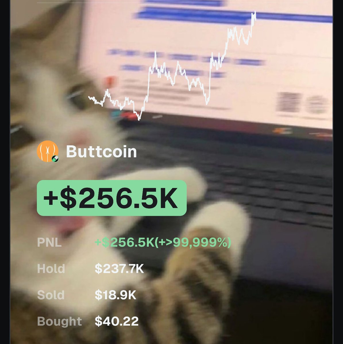 I Just turned $$40 into $256K on $Buttcoin 😹

If you see this, interact I might just change your life.