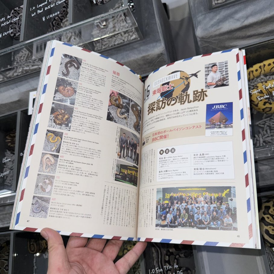 06shockwave tweet media