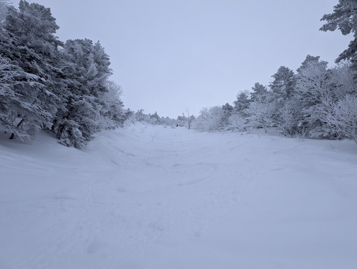 新雪の質はよい
量がもう少しほしかった