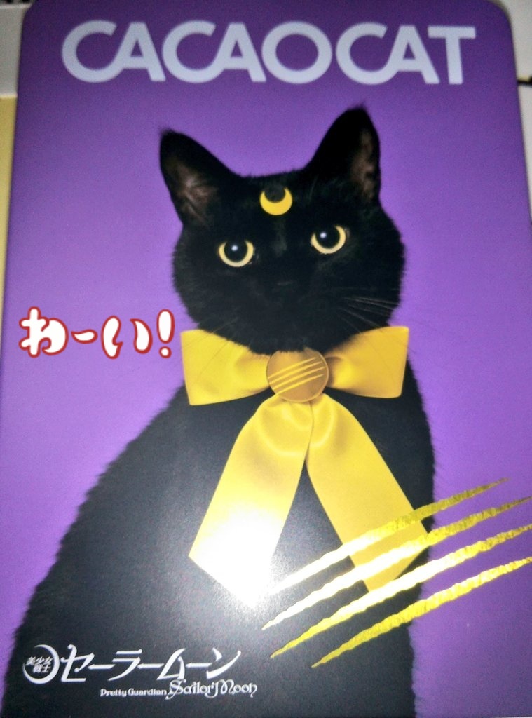 HasegawaTsugumi's tweet photo. OIOIのバレンタイン祭りで、探していた #COCOACAT のルナジュウハンくん缶が手に入りました🌙💖🙌
セーラームーン世代としてはたまらないです✨
東山紀之さんファンとしてはタキシード仮面様🖤もあったらな…😂
バラのジュウハンくんは、大きい缶は黒猫飼いの従姉に送ります🌹✨ https://t.co/rkikdqb0iN