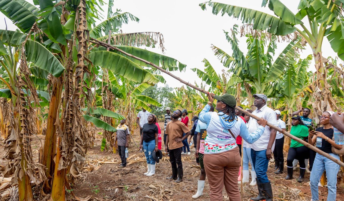 DigniCare Foundation tweet media