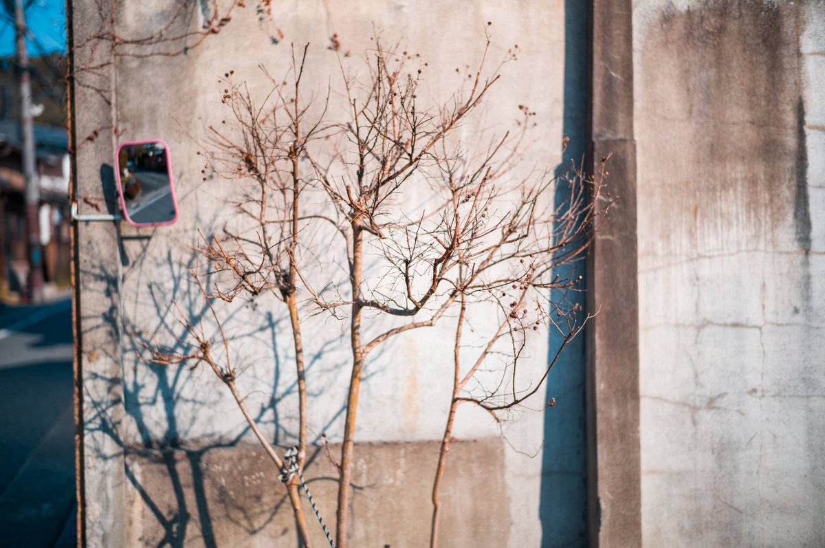 みかづき (@mic_azuki) on X