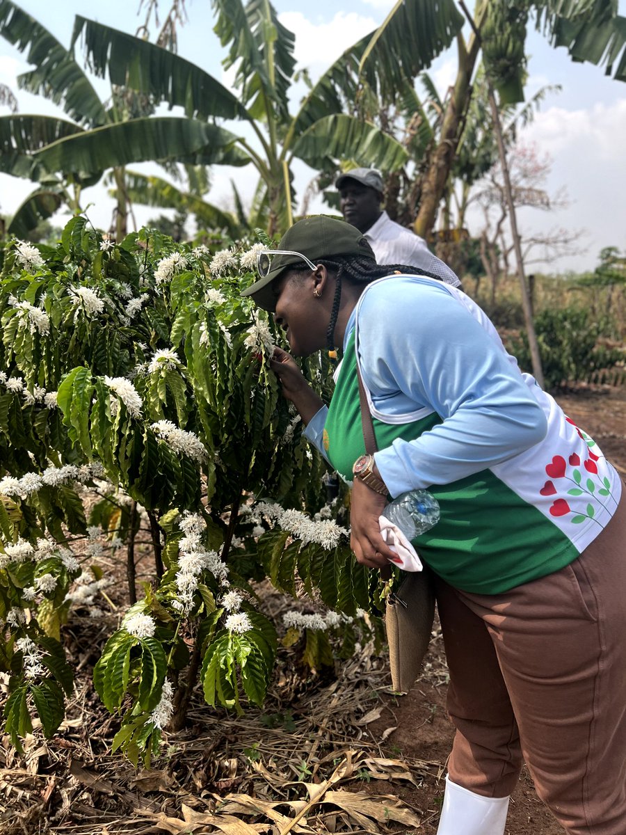 DigniCare Foundation tweet media