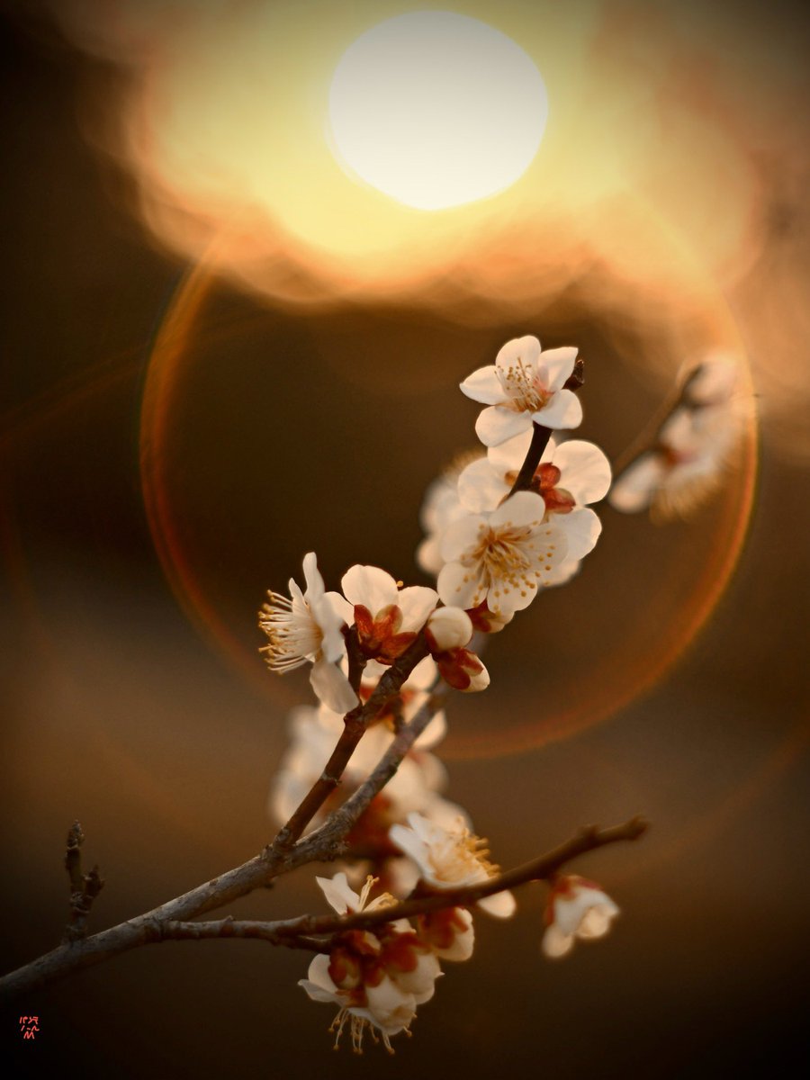 Post by スターフィールド on X: 😀