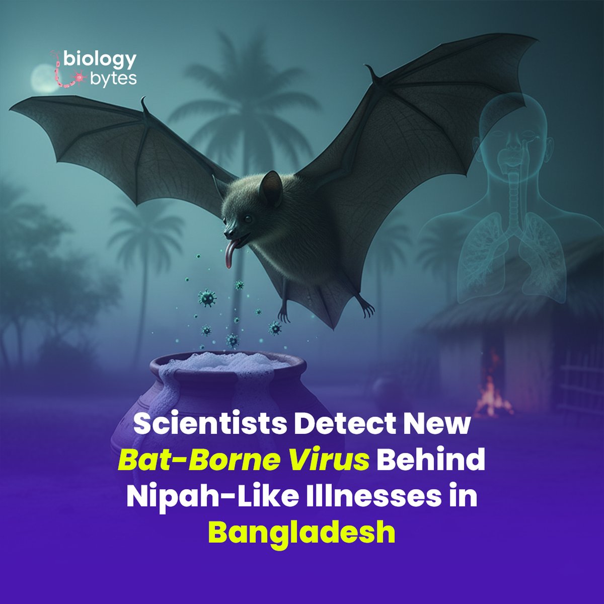 bytes_biology's tweet photo. Scientists have identified a bat-borne virus called Pteropine orthoreovirus (PRV) in patients from Bangladesh.

🔗https://t.co/h9m9dWv8vL

#EmergingDiseases #ZoonoticDiseases #BatBorneViruses #Epidemiology #Virology #Bangladesh https://t.co/TLhzhKRwjZ