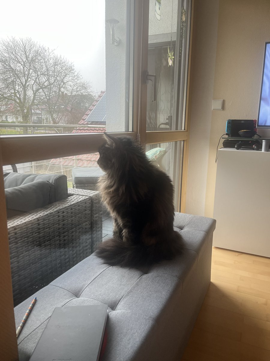 coding_jay's tweet image. Guten Morgen!