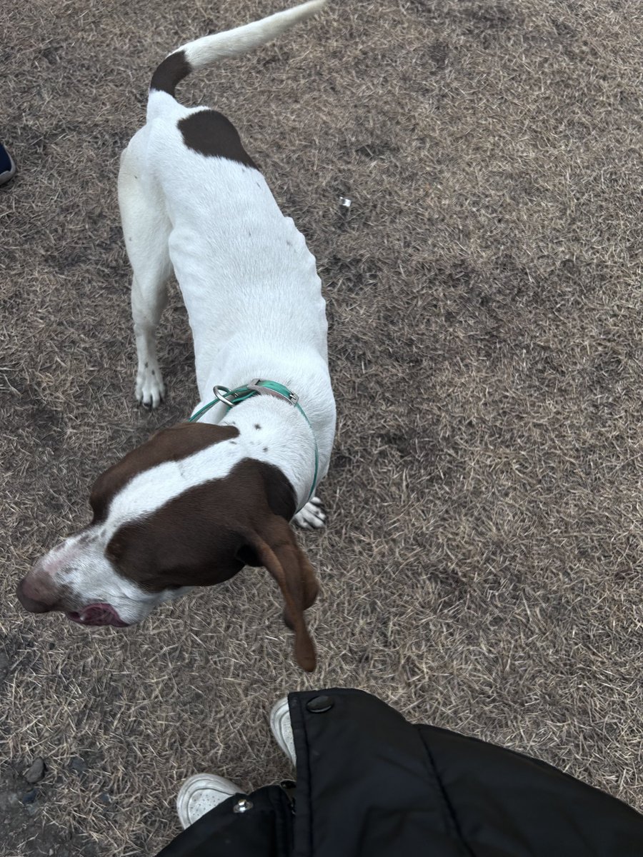 かわちぃちゃをお仕事してる間に迷子になったのかわいそう