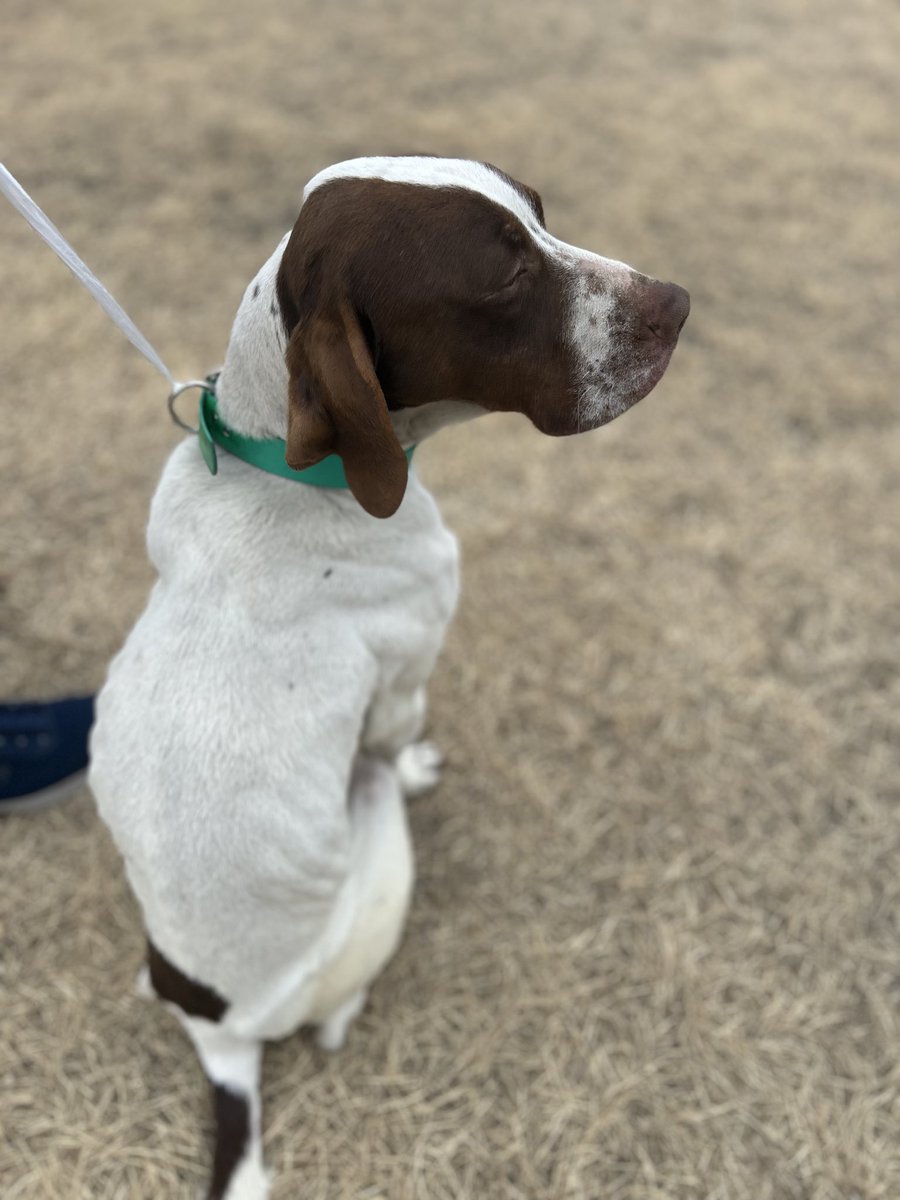 迷子ちゃん居ます! かわちぃちゃをお仕事してる間に迷子になったのかわいそう