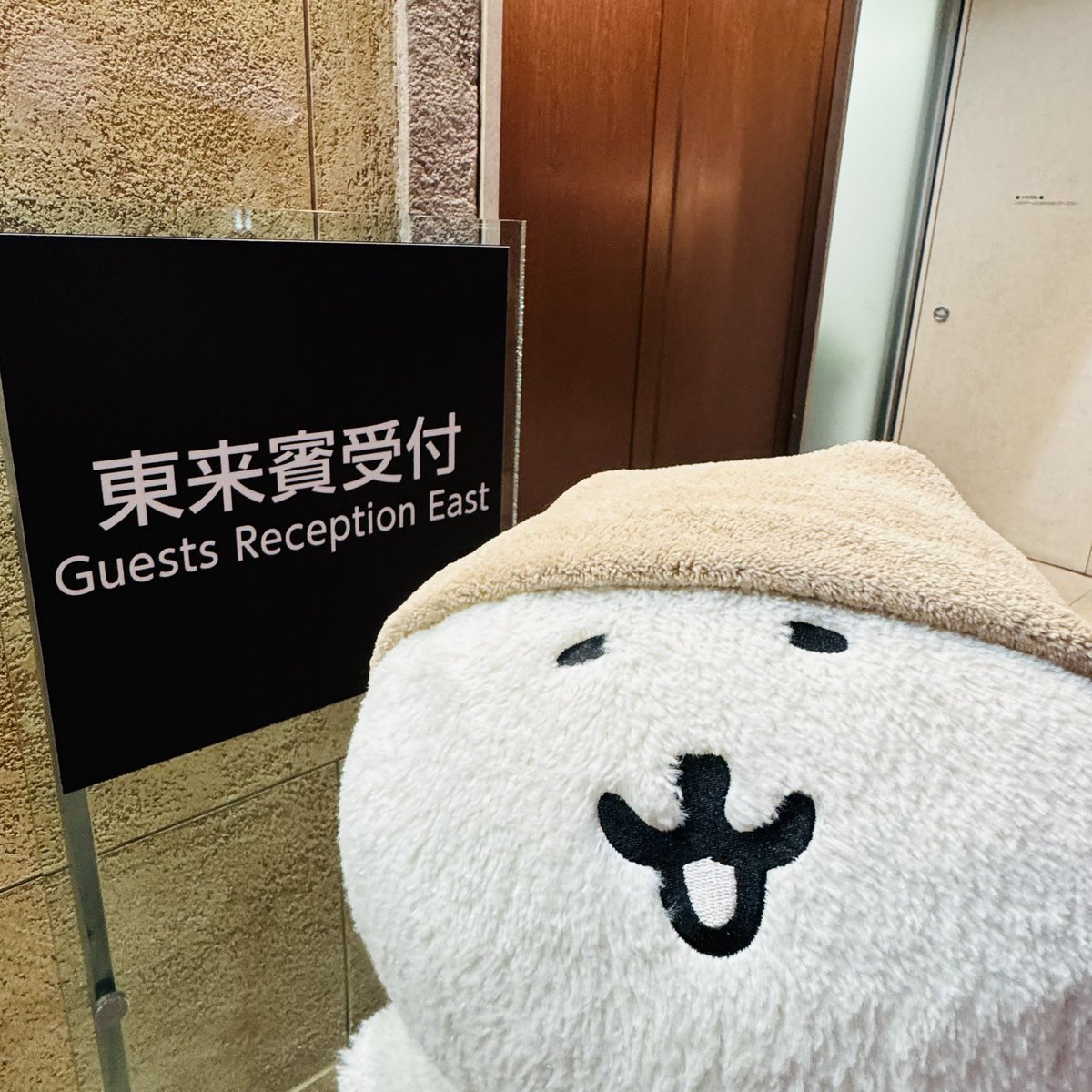 ω・)馬主感のあるくま