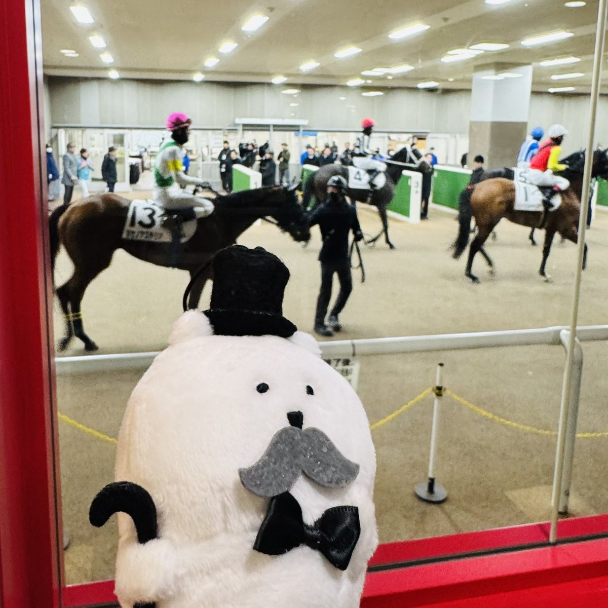 ω・)馬主感のあるくま