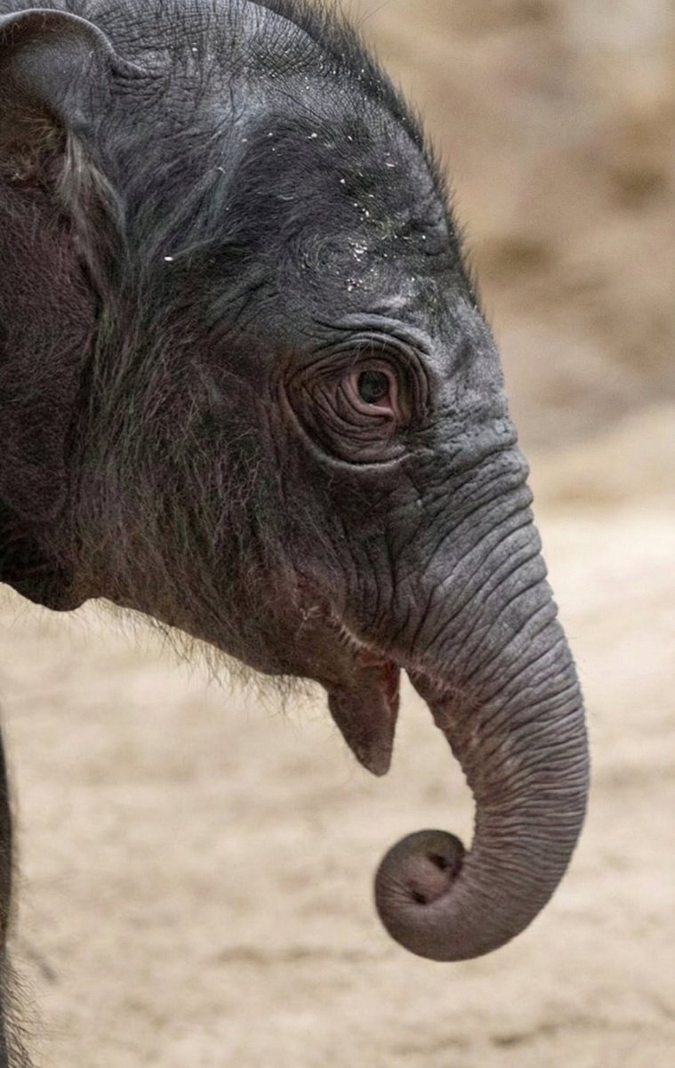 Jeets checking the $tuanh chart who sold yesterday: