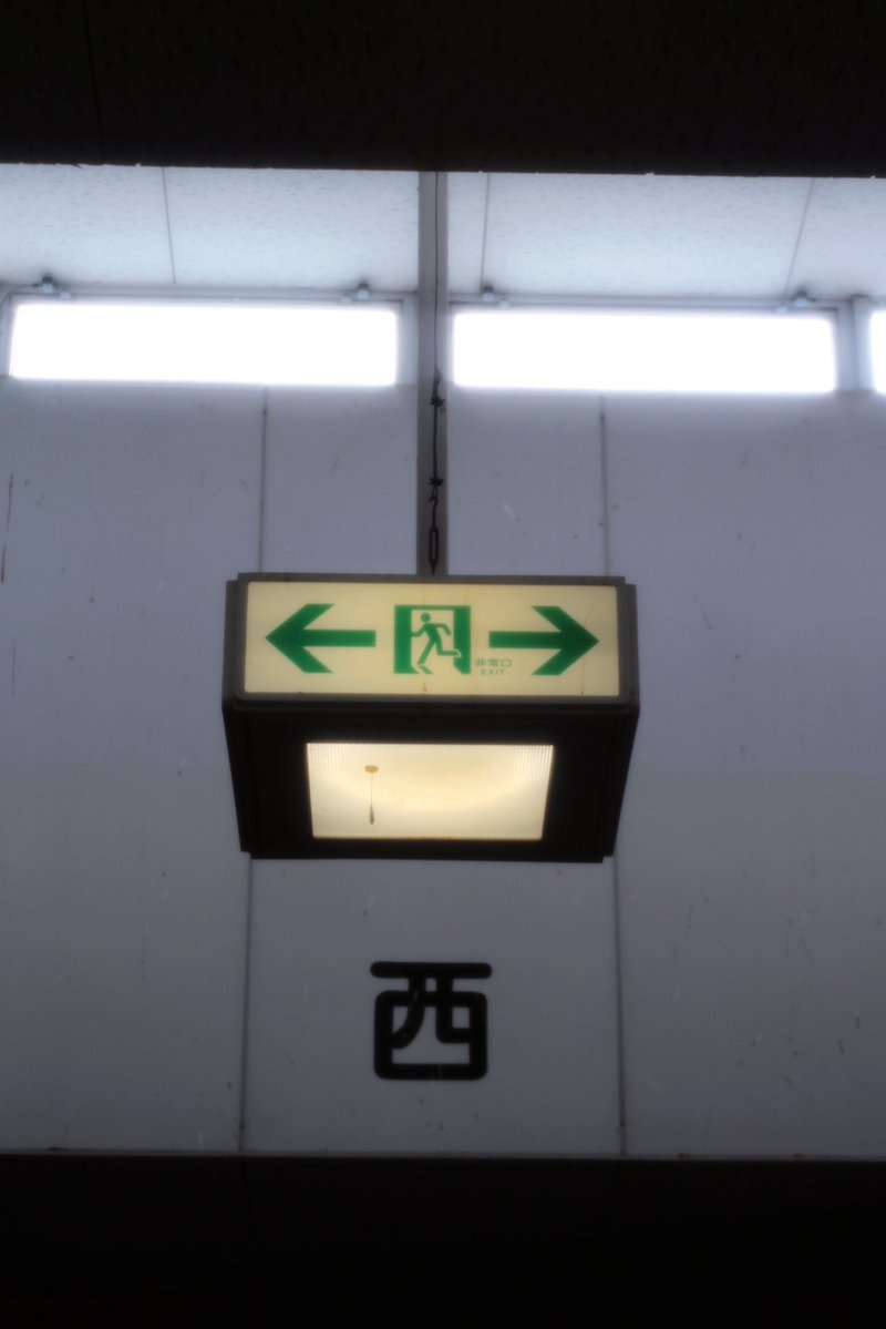 散歩🚶‍♀️📷