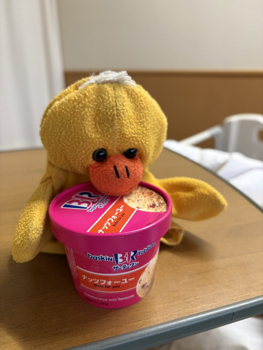 ３１🍨　ﾅｯﾂﾌｫｰﾕｰ 🥜　🐥